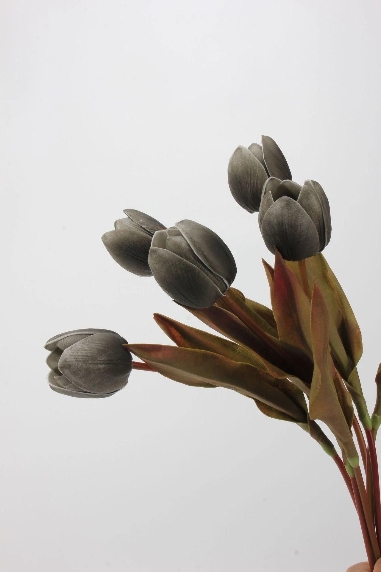 Die Morandi Edit Real-Touch Tulpe – 48 cm