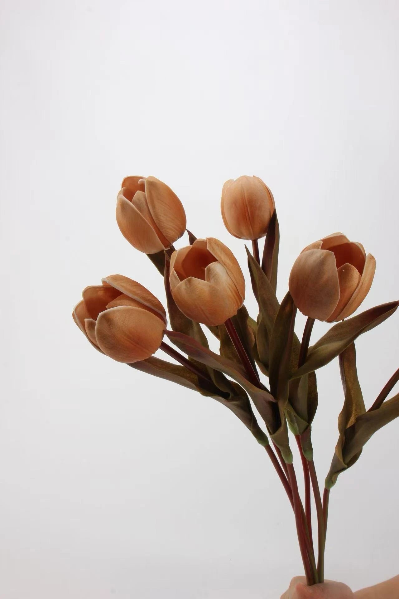 Die Morandi Edit Real-Touch Tulpe – 48 cm