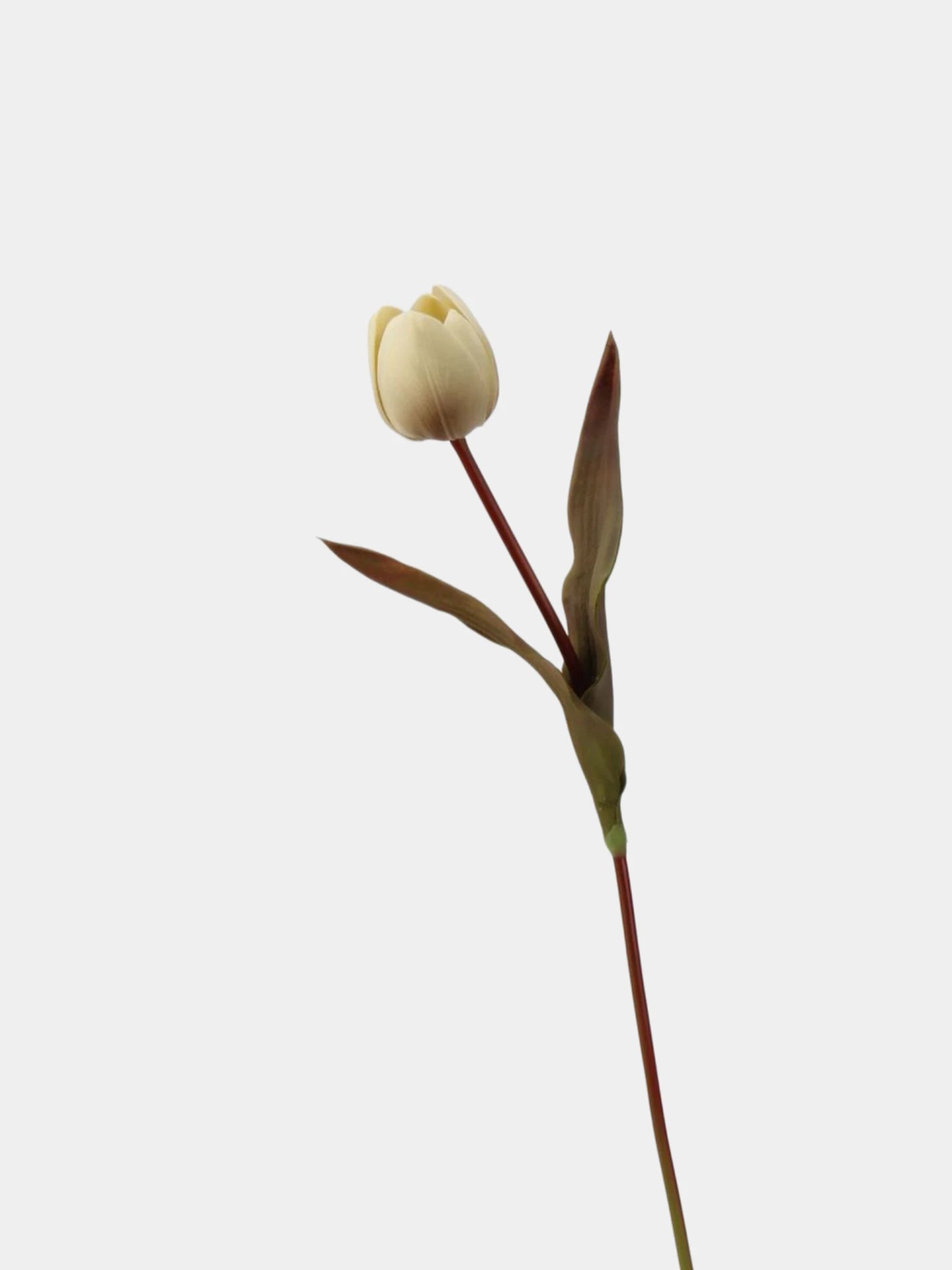 Die Morandi Edit Real-Touch Tulpe – 48 cm