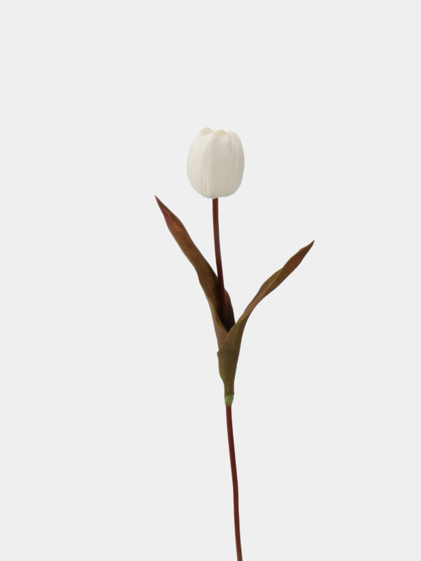 Die Morandi Edit Real-Touch Tulpe – 48 cm
