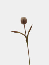 Die Morandi Edit Real-Touch Tulpe – 48 cm