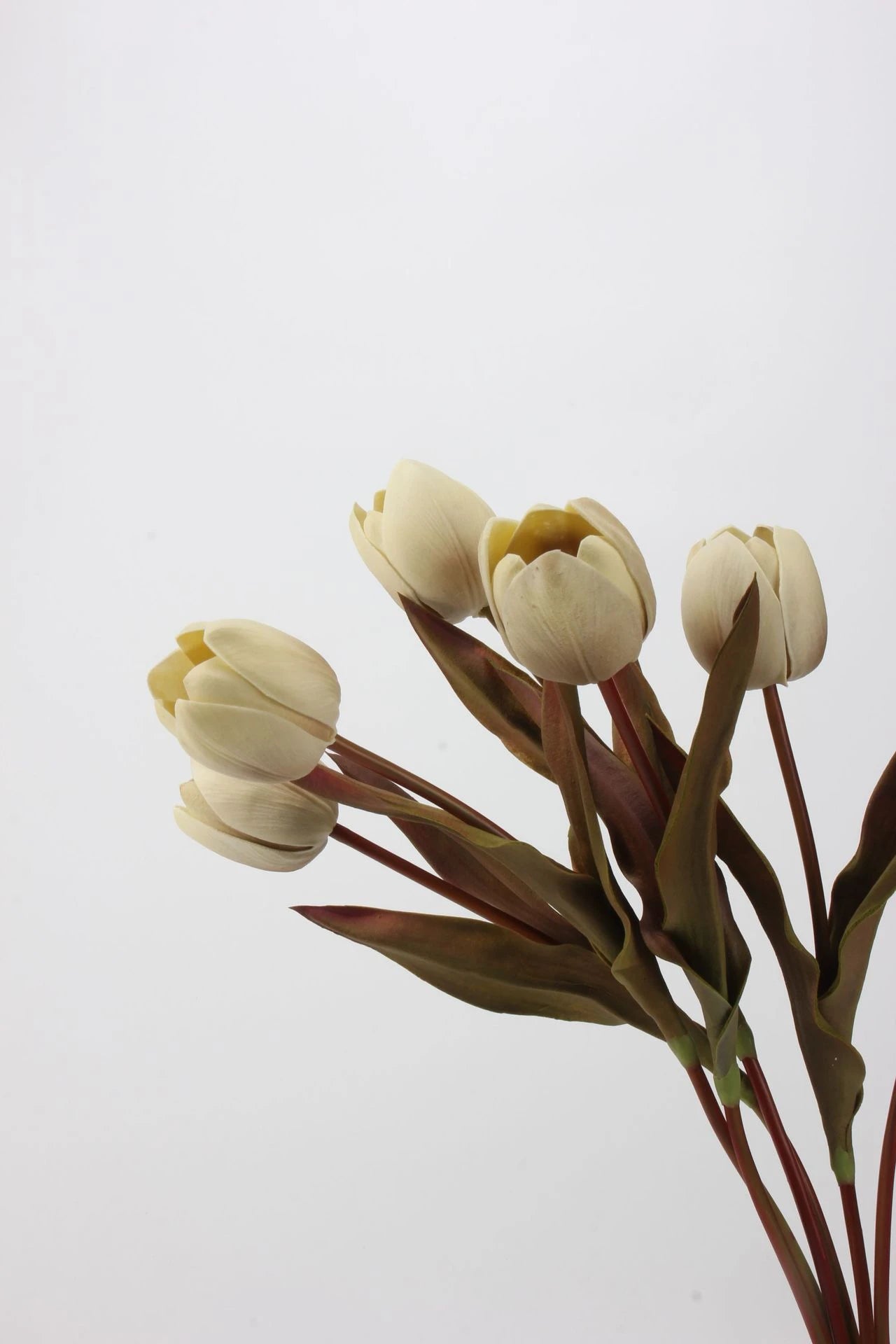 Die Morandi Edit Real-Touch Tulpe – 48 cm