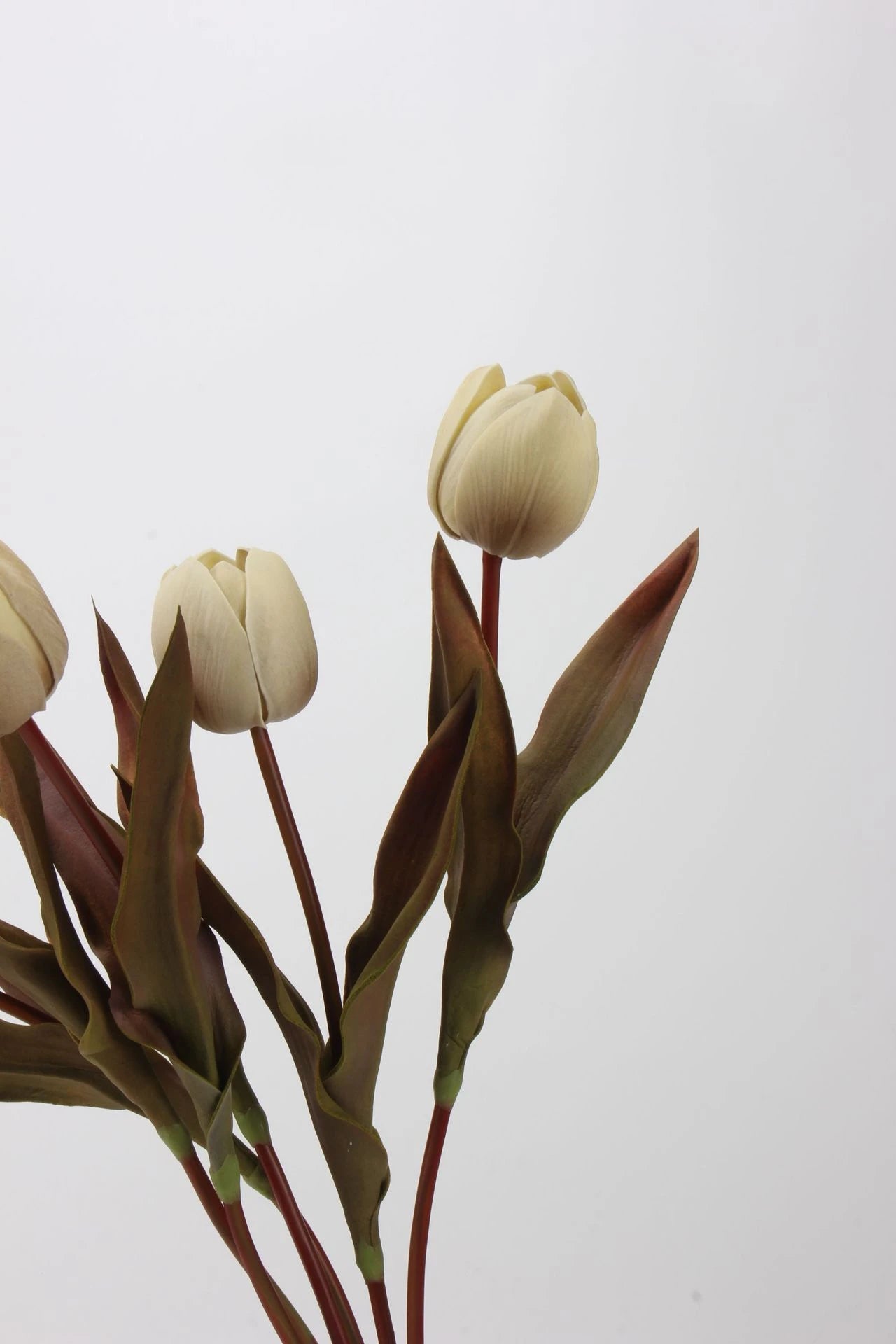 Die Morandi Edit Real-Touch Tulpe – 48 cm