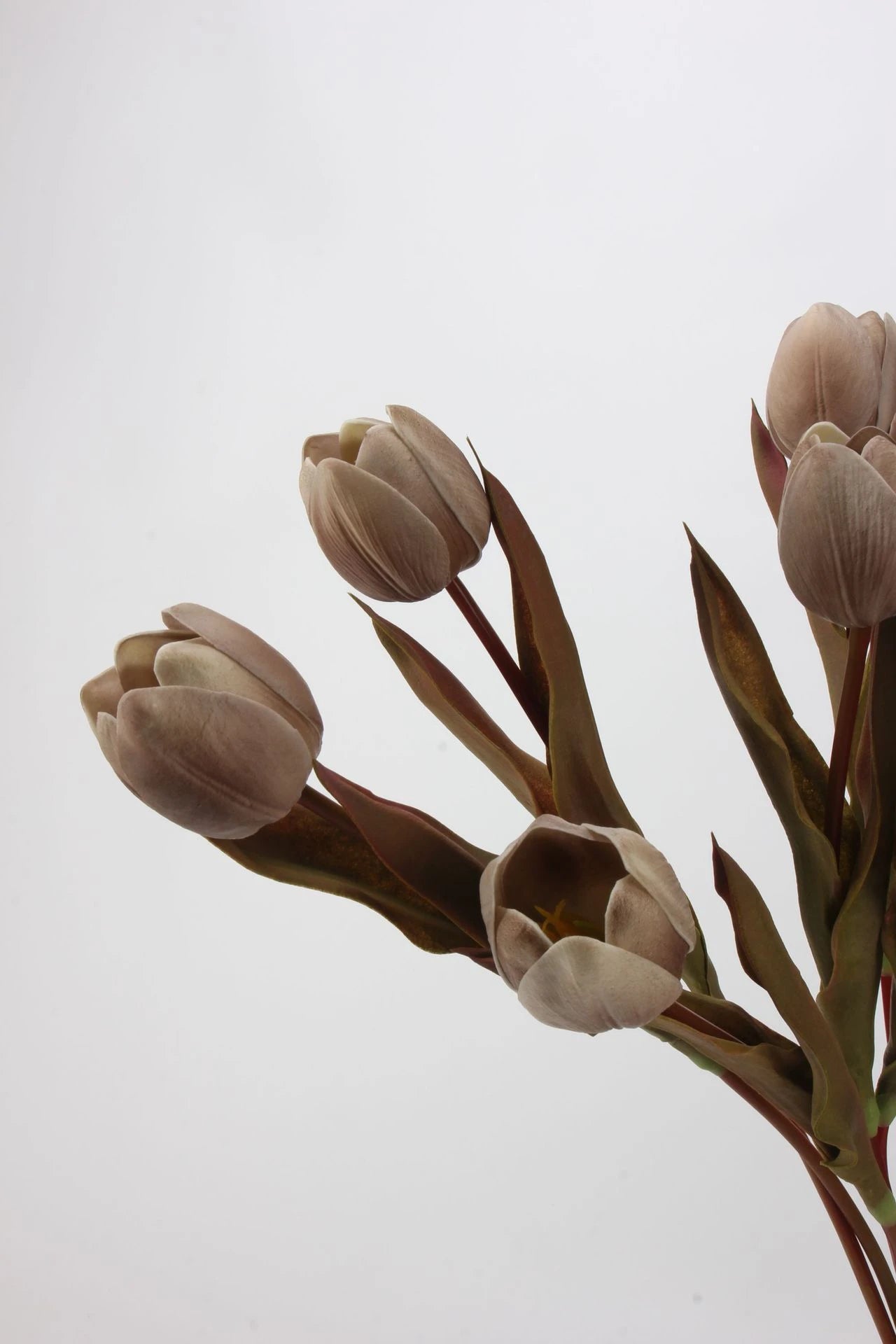 Die Morandi Edit Real-Touch Tulpe – 48 cm