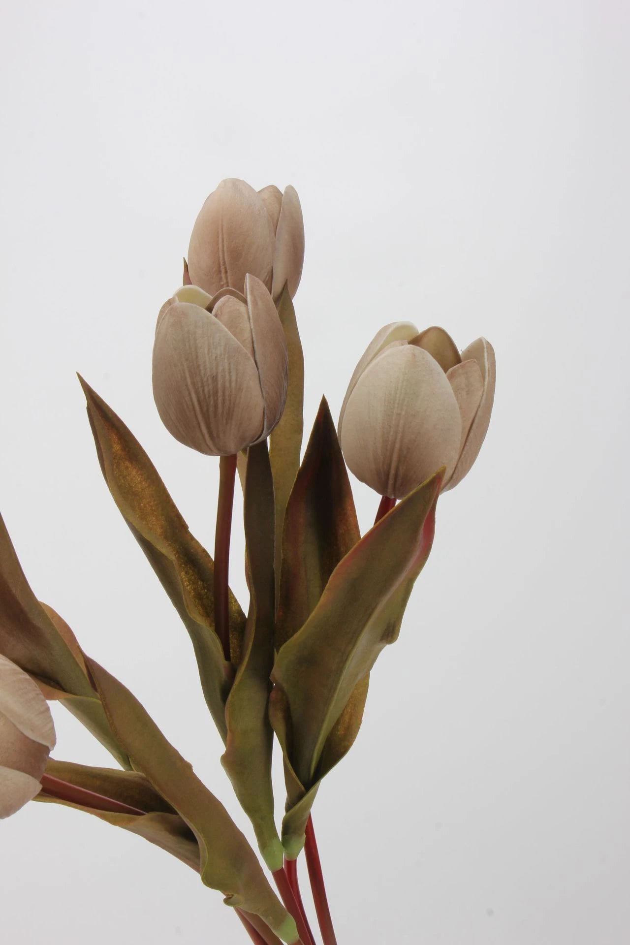 Die Morandi Edit Real-Touch Tulpe – 48 cm