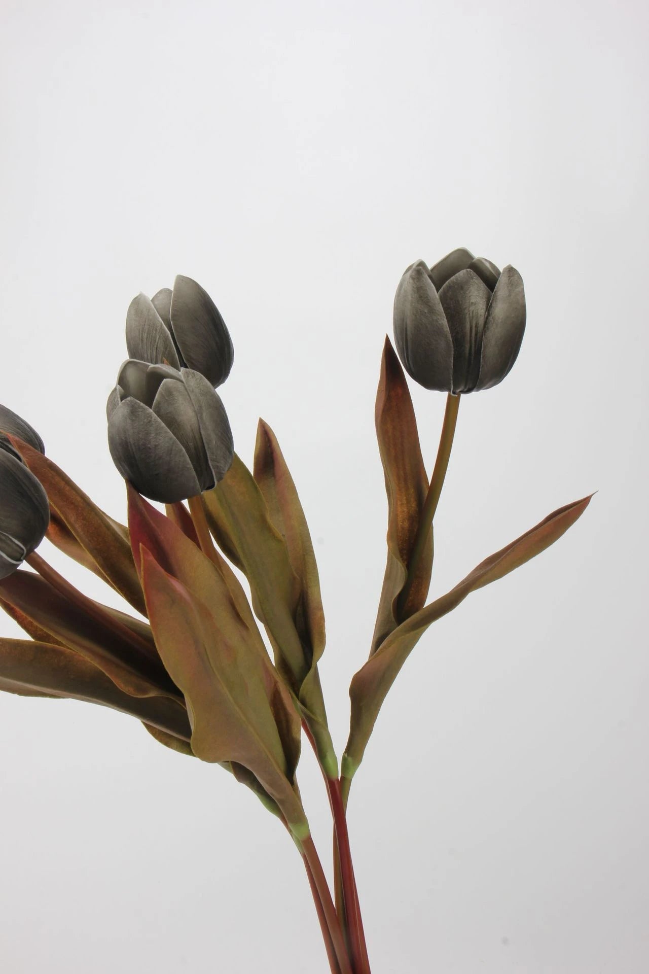 Die Morandi Edit Real-Touch Tulpe – 48 cm