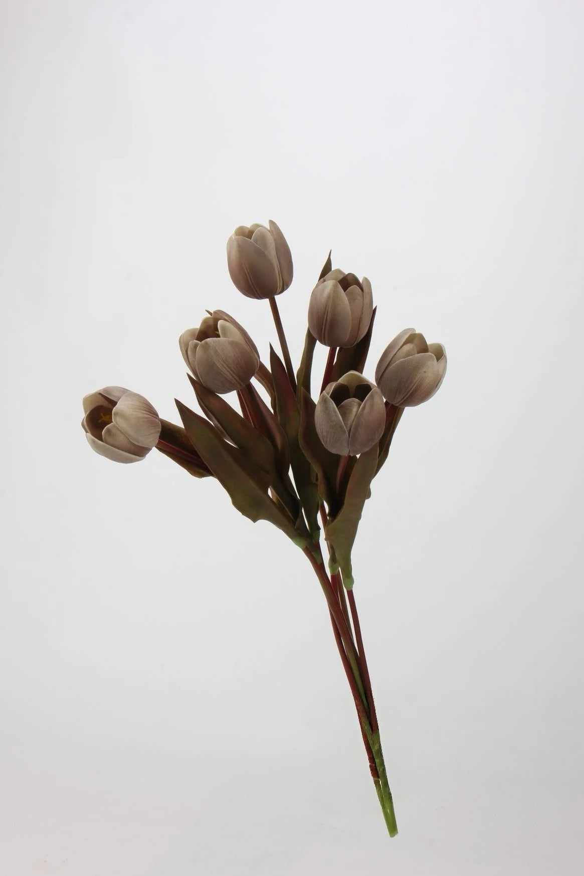 Die Morandi Edit Real-Touch Tulpe – 48 cm
