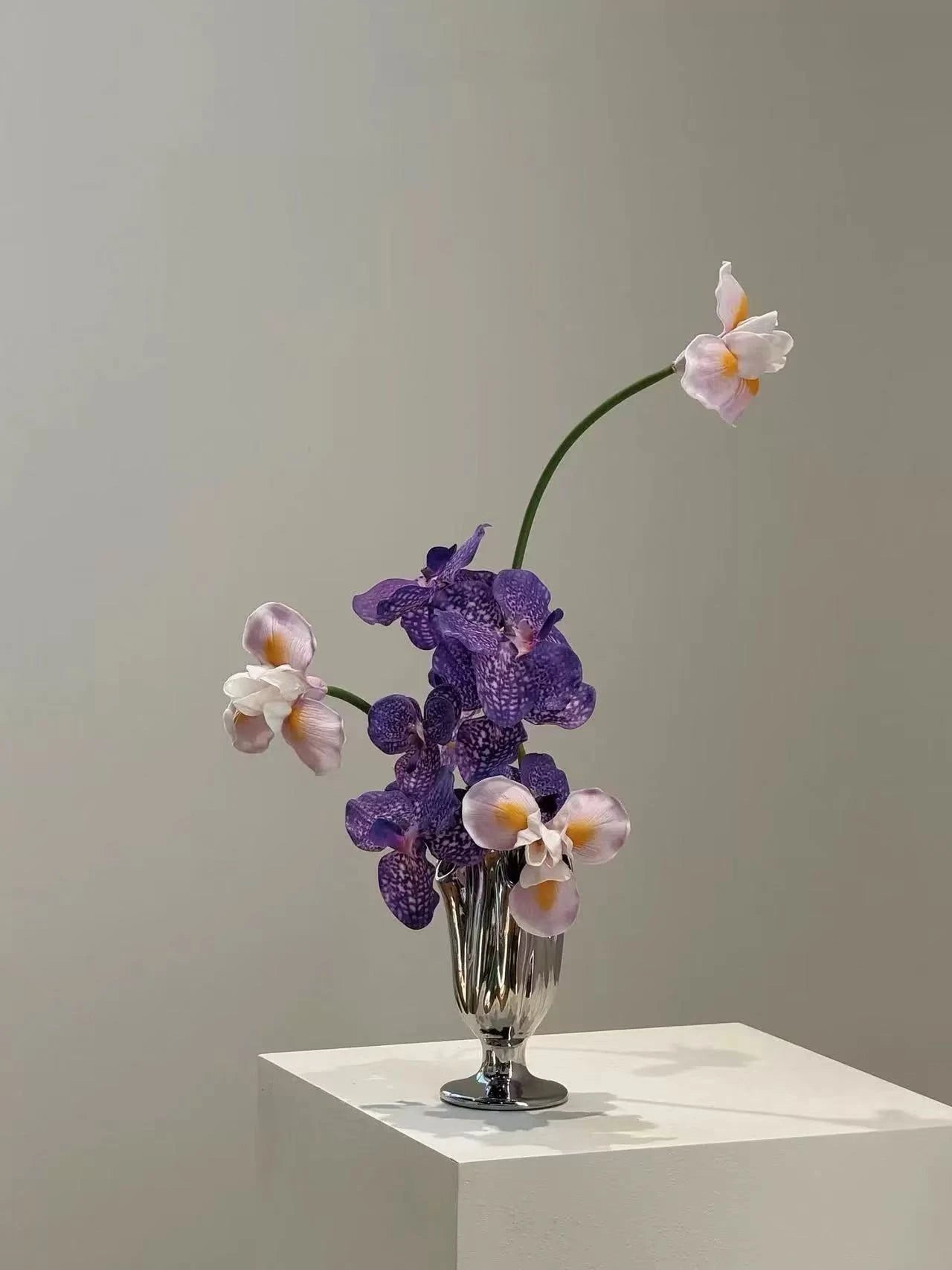 Violet Reflection