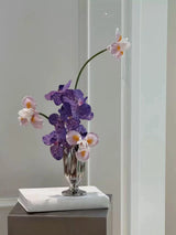 Violet Reflection