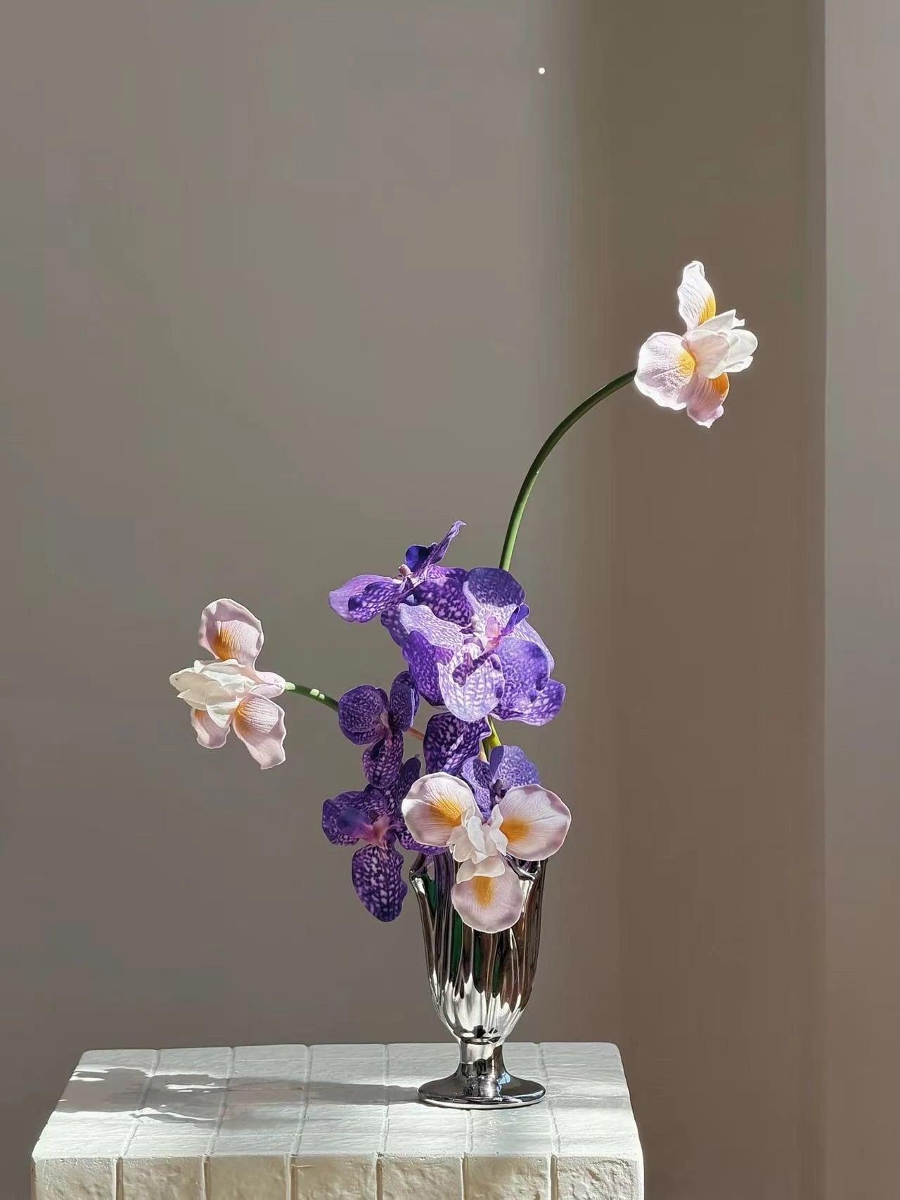 Violet Reflection