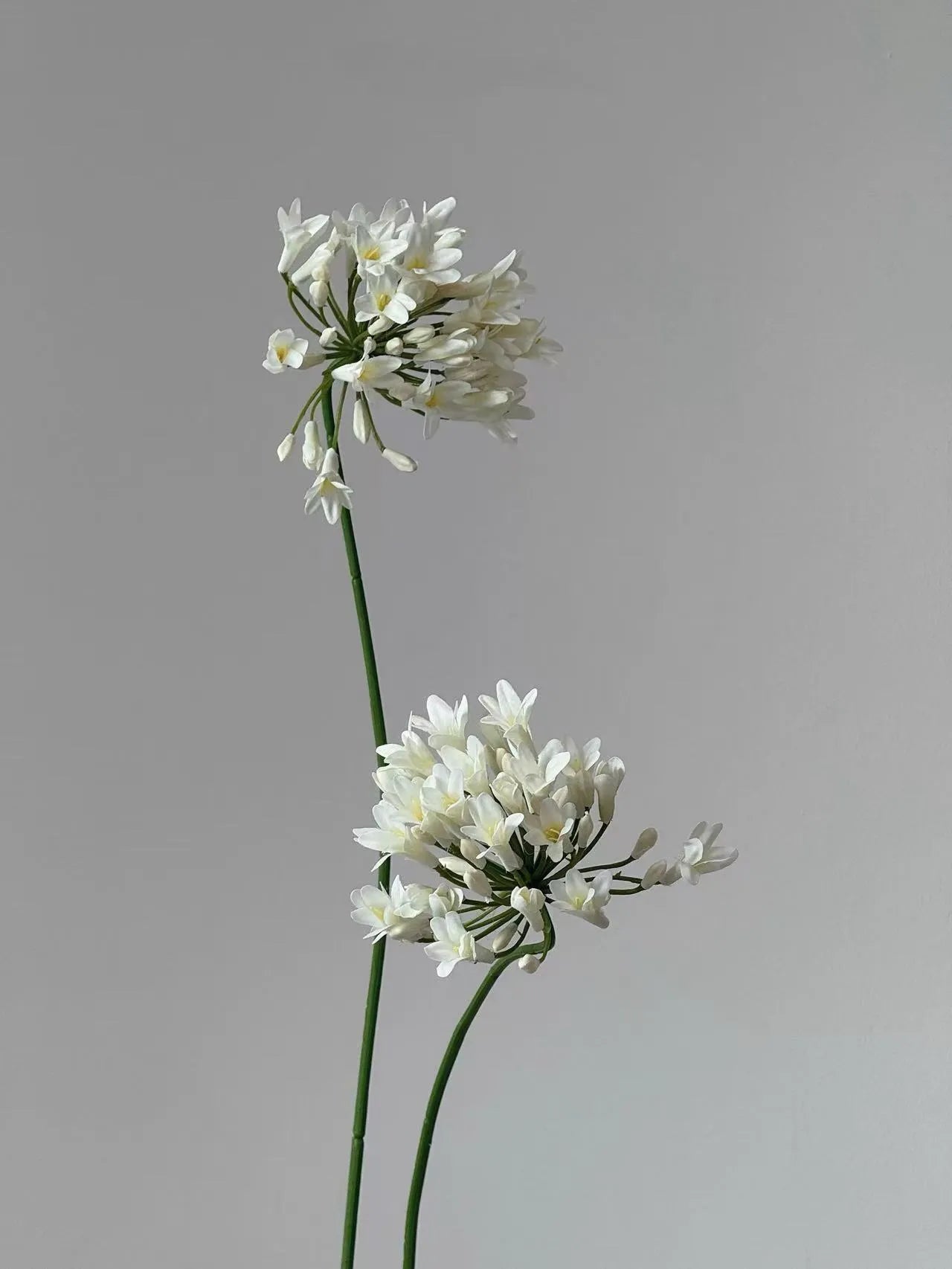 ホワイトアガパンサス - 花瓶の中の人工フラワーアレンジメント