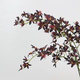 Artificial Oncidium orchid – burgundy detail 2