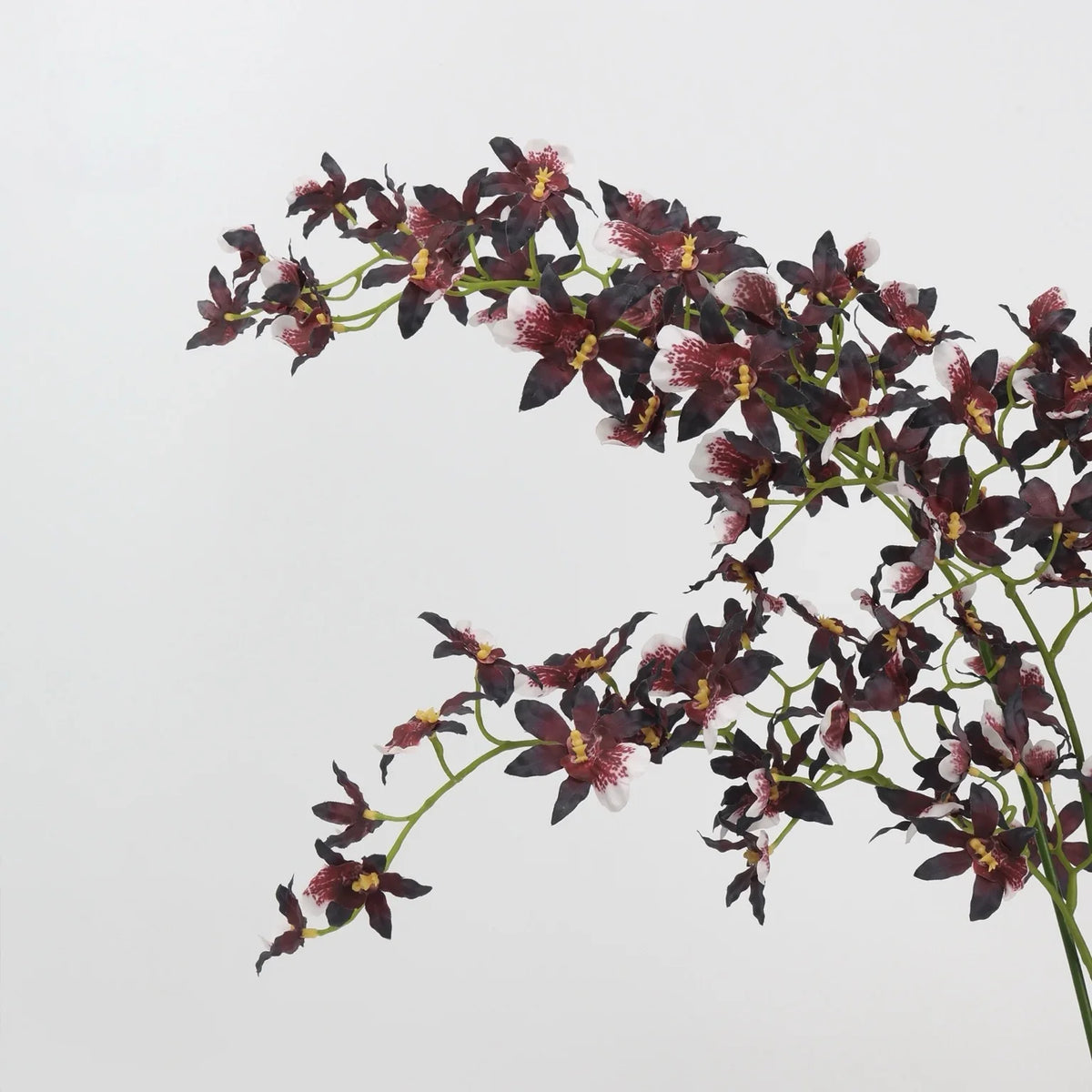 Artificial Oncidium orchid – burgundy detail 2