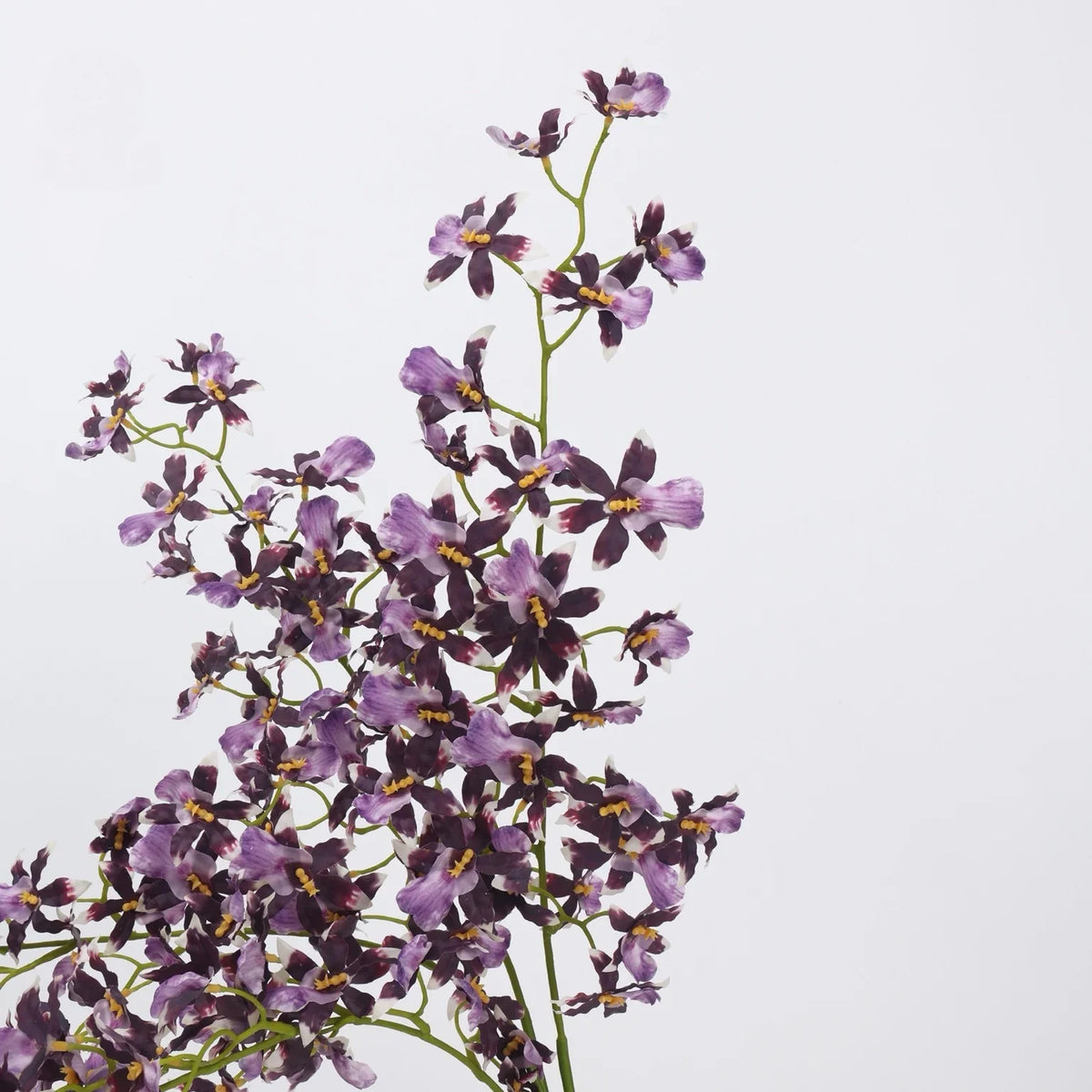 Artificial Oncidium orchid – purple detail