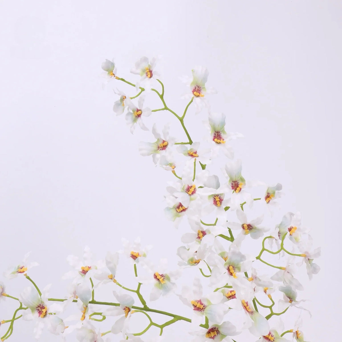 Artificial Oncidium orchid – white detail