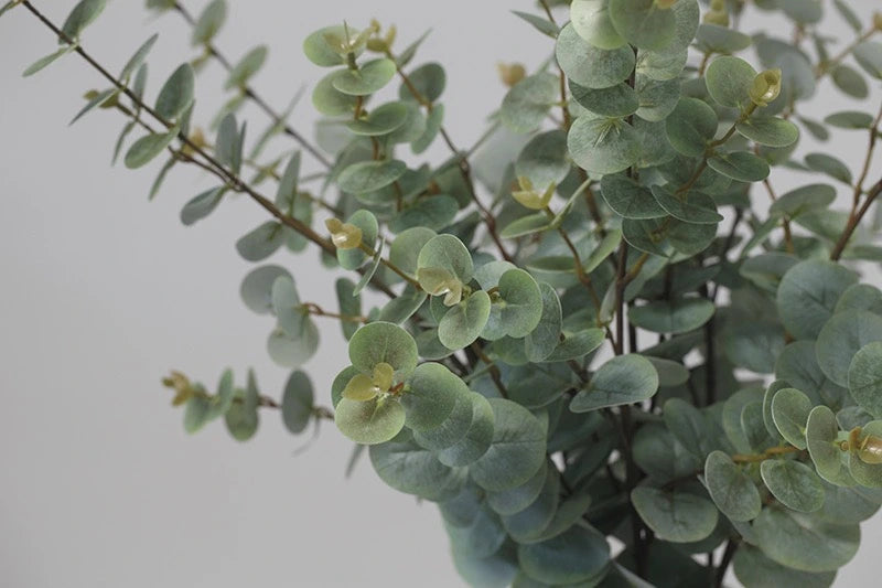 Artificial eucalyptus foliage close-up