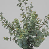 Green artificial eucalyptus foliage detail