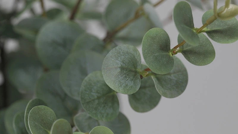 Realistic artificial eucalyptus foliage texture