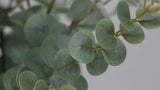 Realistic artificial eucalyptus foliage texture