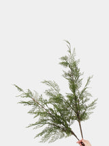Hand-held artificial fine-leaf pine branches showing their airy green sprays and branching shape