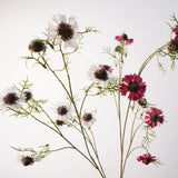 Long scabiosa blossoms and fine foliage