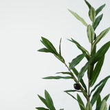 Close up of green artificial olive leaves and black olives