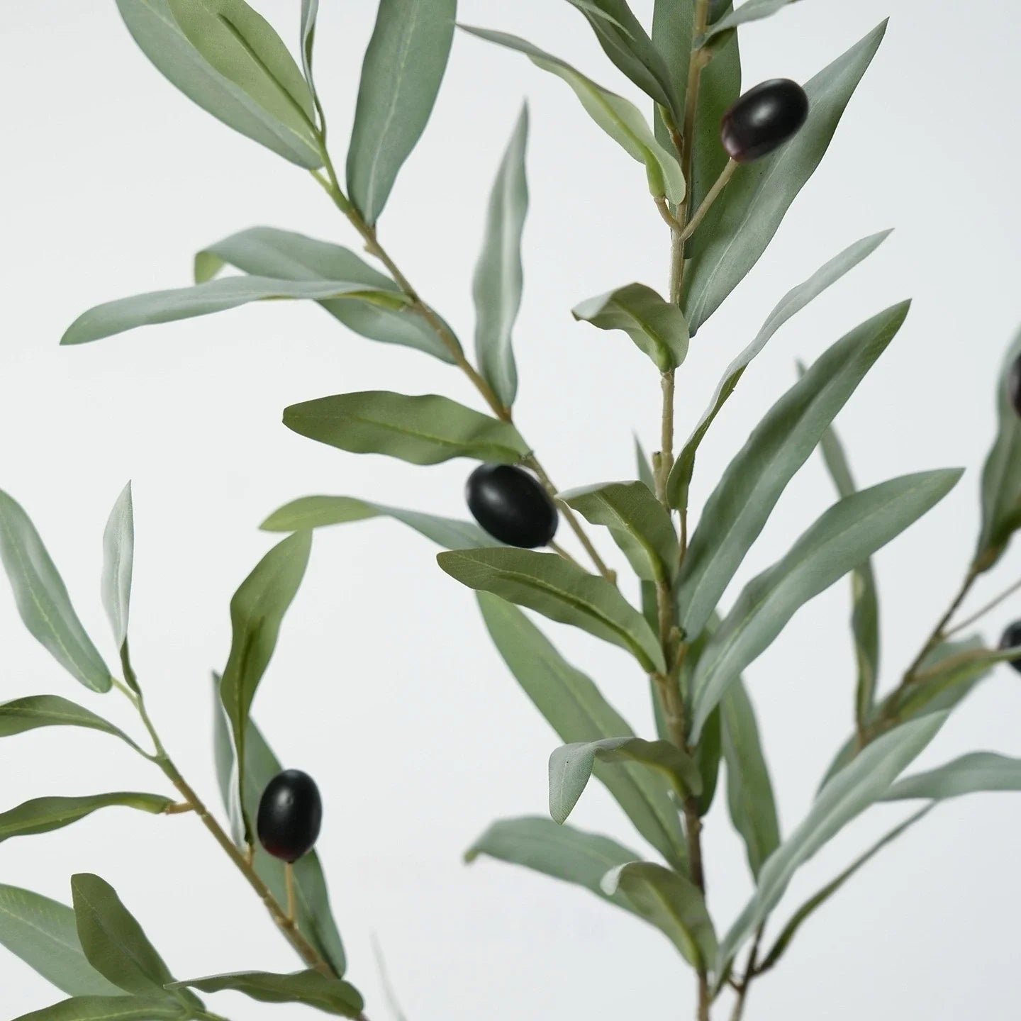 Close up of grey green artificial olive leaves and black olives