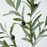 Close up of grey green artificial olive leaves and black olives