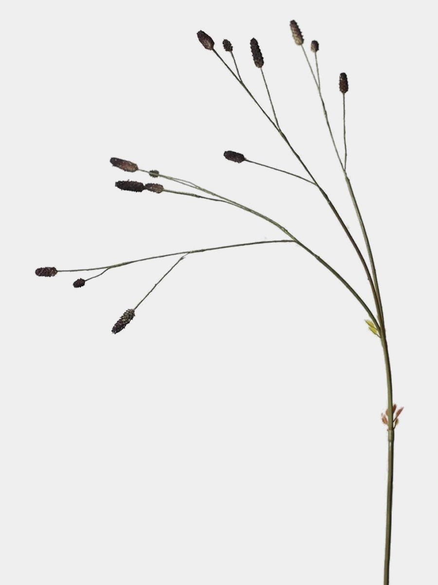 Deep purple artificial Sanguisorba single stem