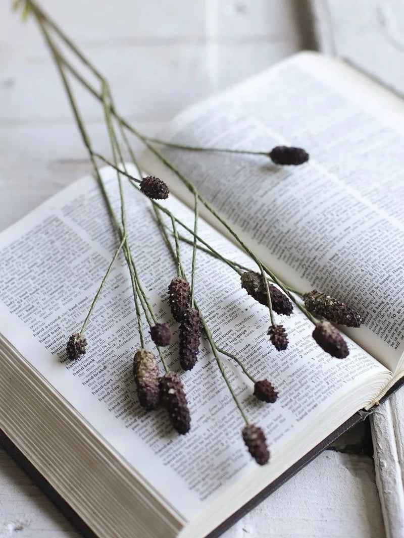 Deep purple Sanguisorba stems styled over an open book