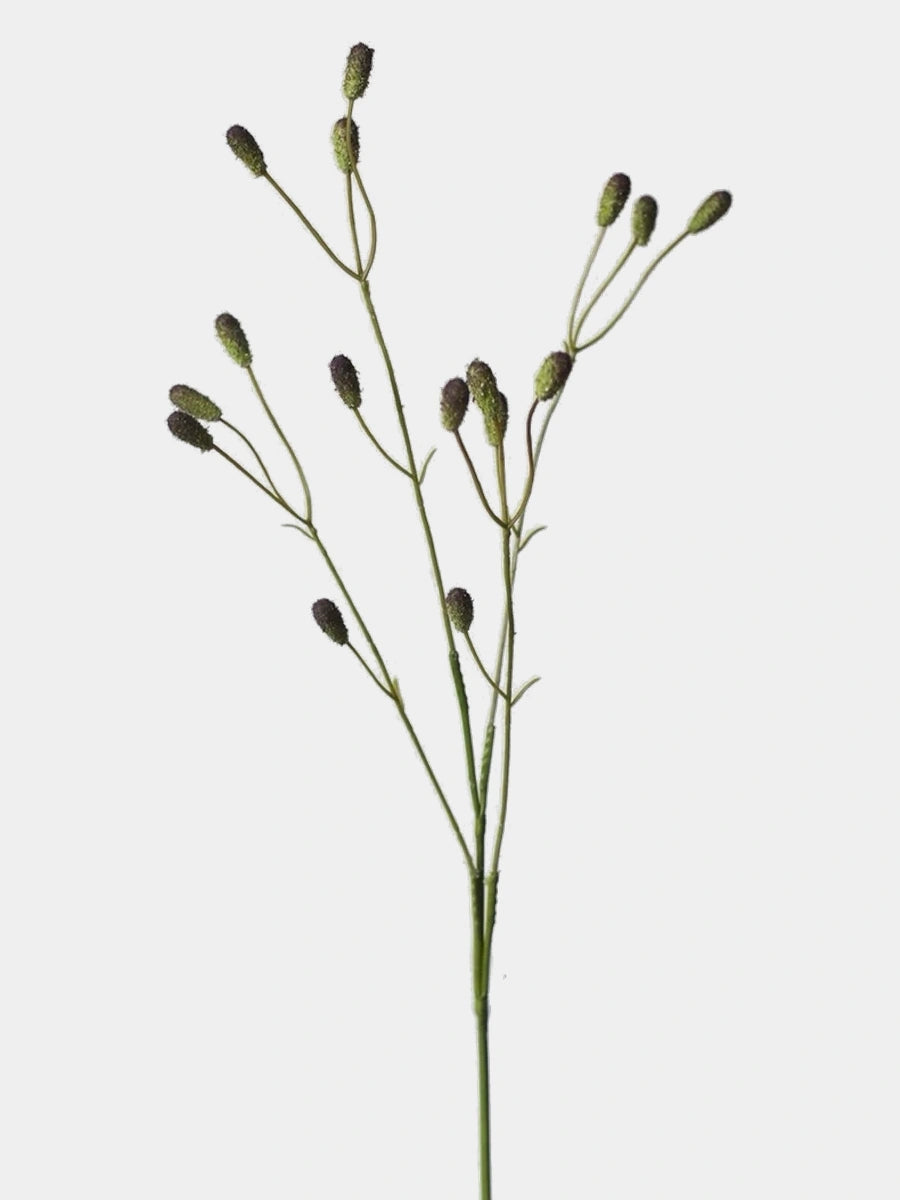 Spotted purple artificial Sanguisorba single stem