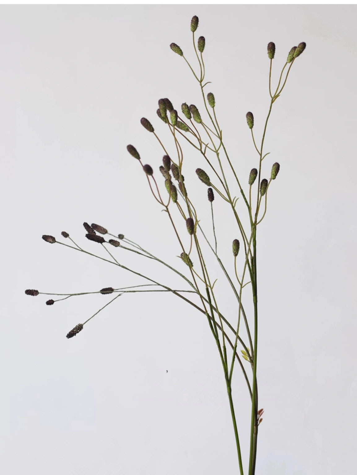 Three colours of artificial Sanguisorba stems