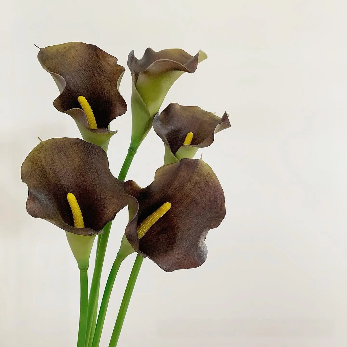 calla lily brown natural