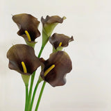 calla lily brown natural