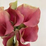 calla lily pink purple detail