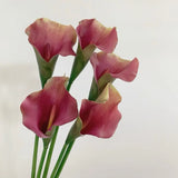 calla lily pink purple natural