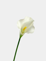 White faux calla lily stem on a light grey background