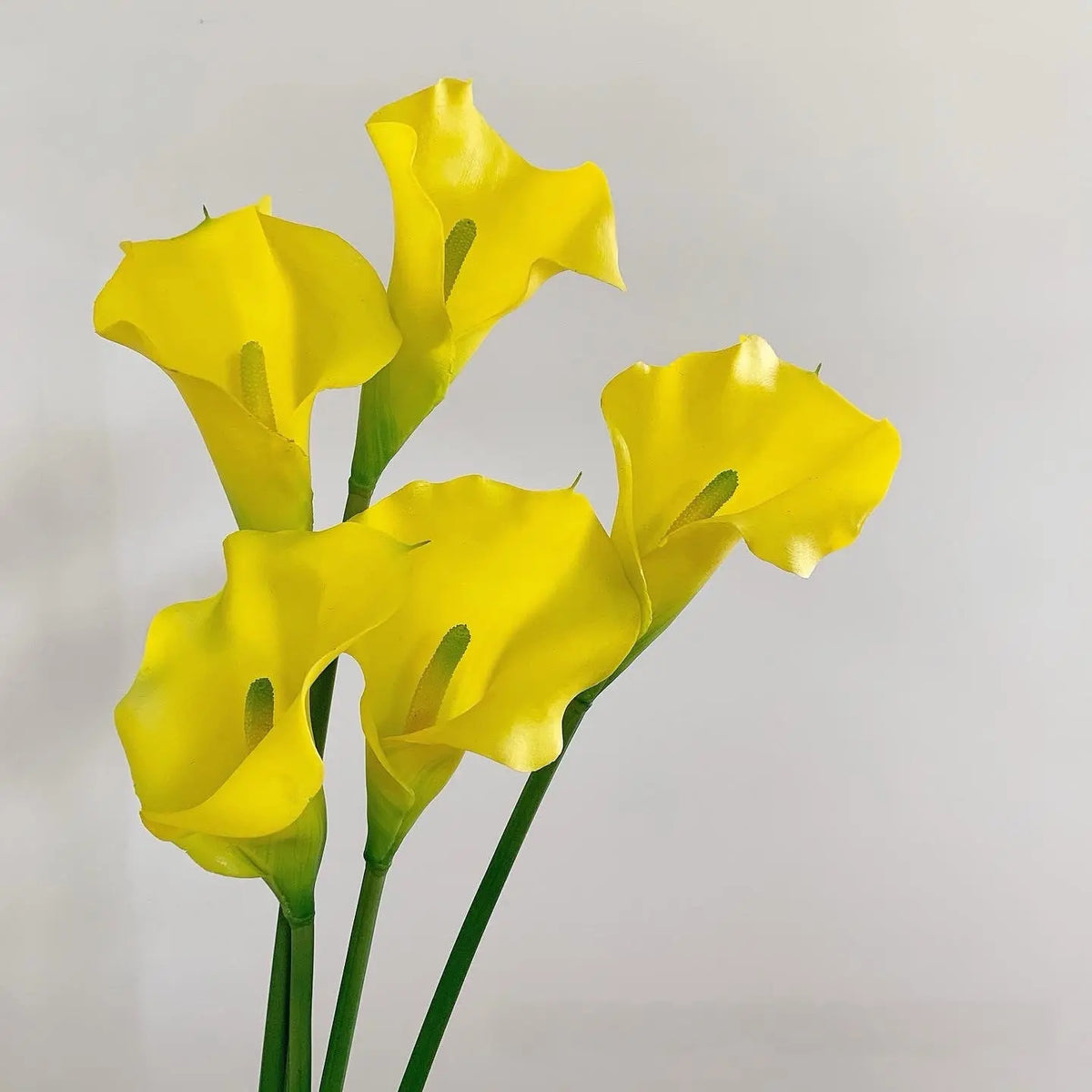 calla lily yellow natural
