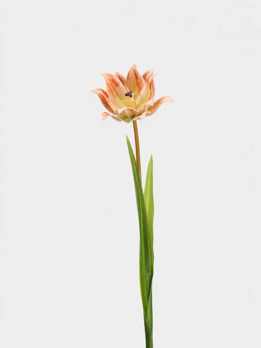 Faux double tulip stem 70 cm in apricot