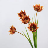 Multiple faux double tulip stems in caramel orange
