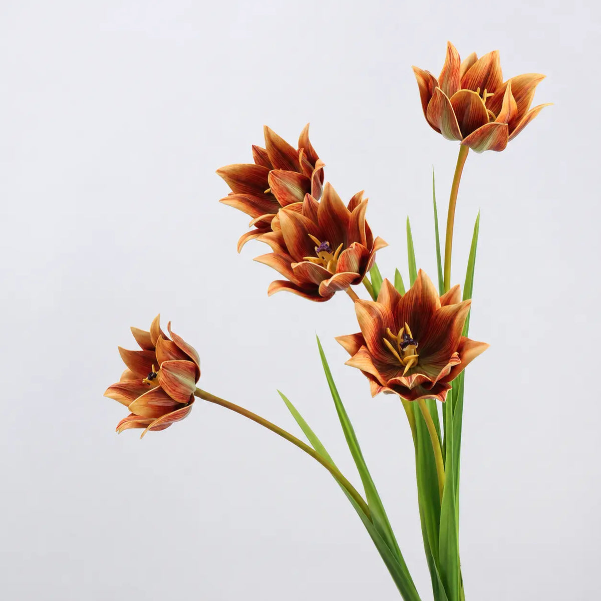 Multiple faux double tulip stems in caramel orange