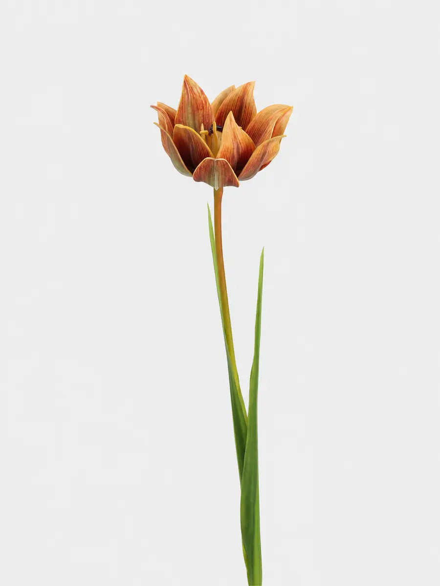 Faux double tulip stem 70 cm in caramel orange