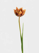 Faux double tulip stem 70 cm in caramel orange