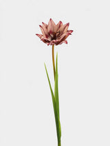 Faux double tulip stem 70 cm in vintage rose