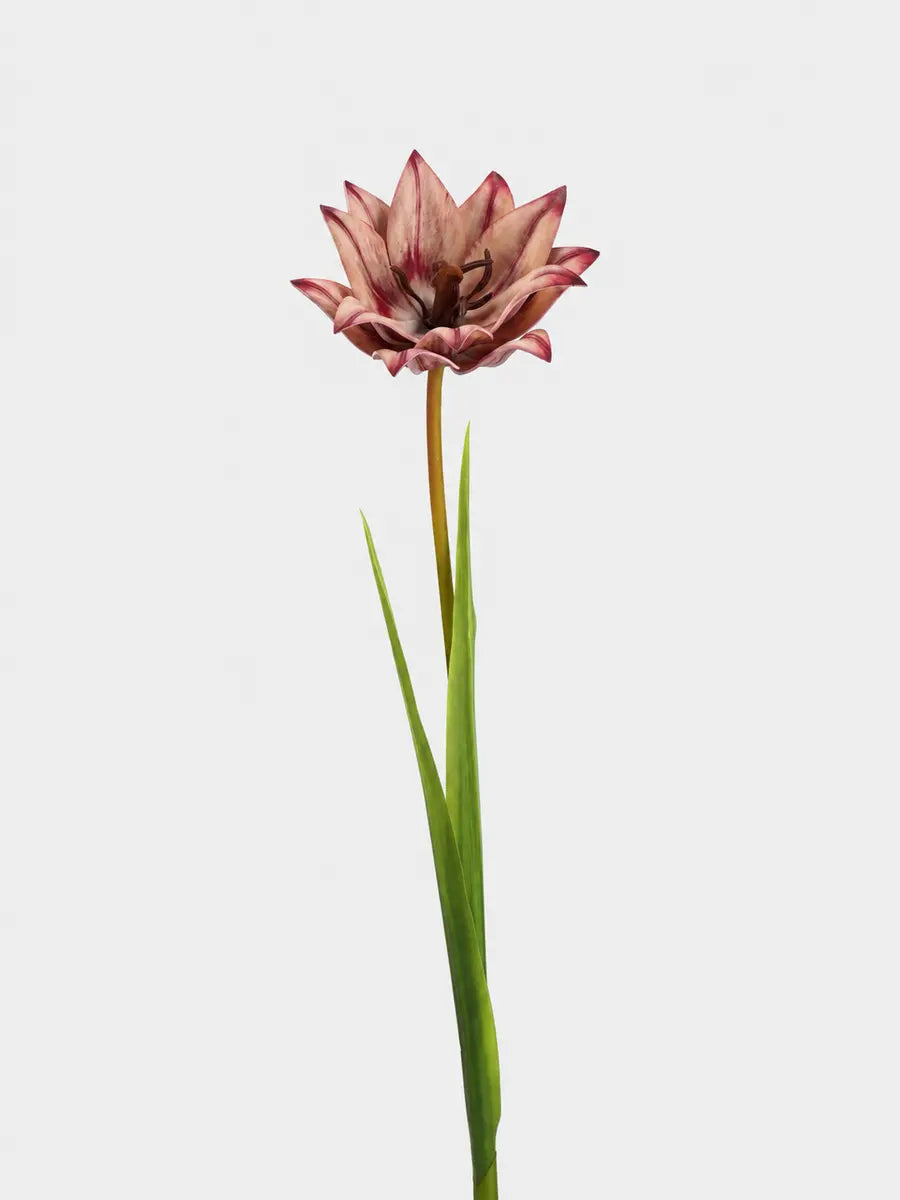 Faux double tulip stem 70 cm in vintage rose