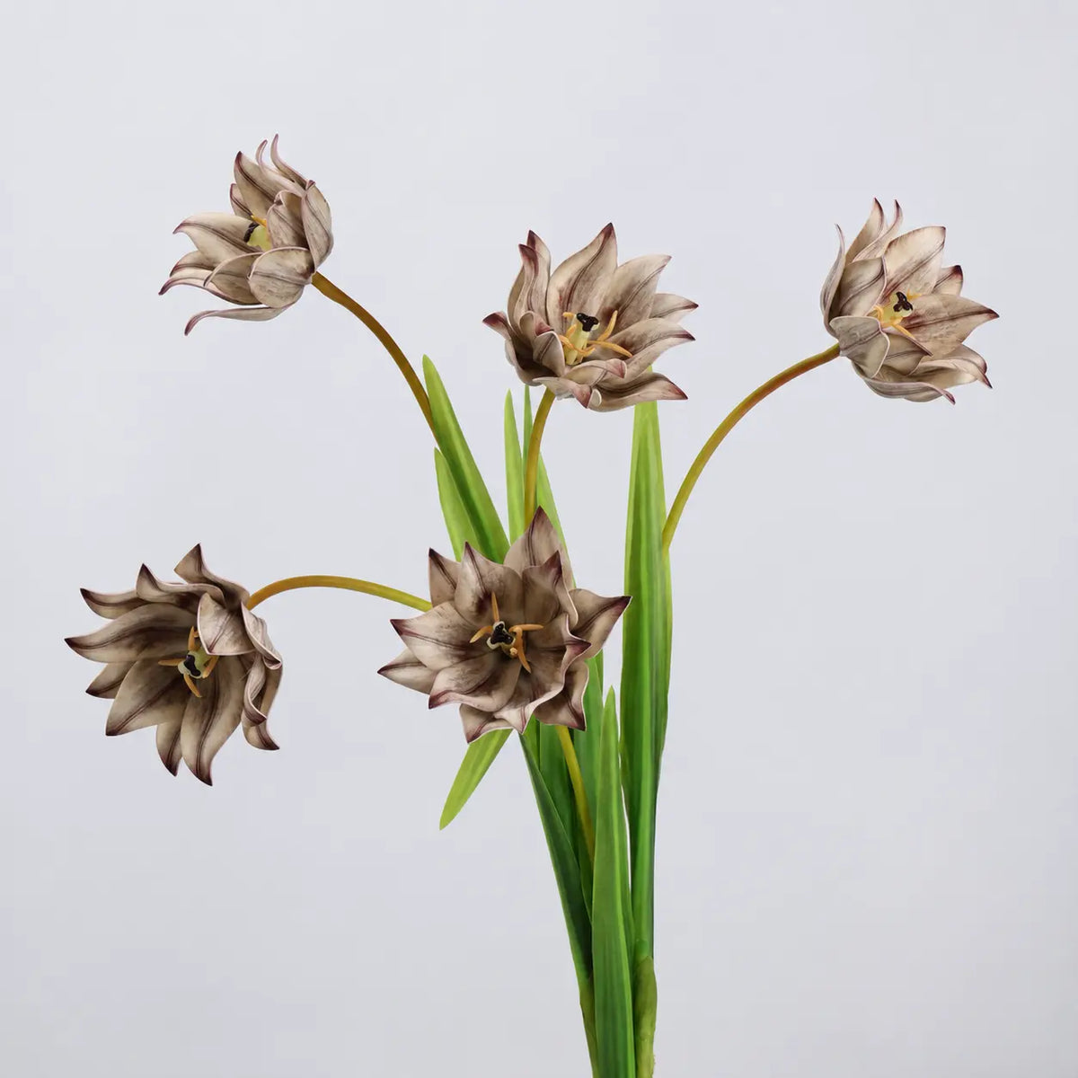 Multiple faux double tulip stems in warm taupe