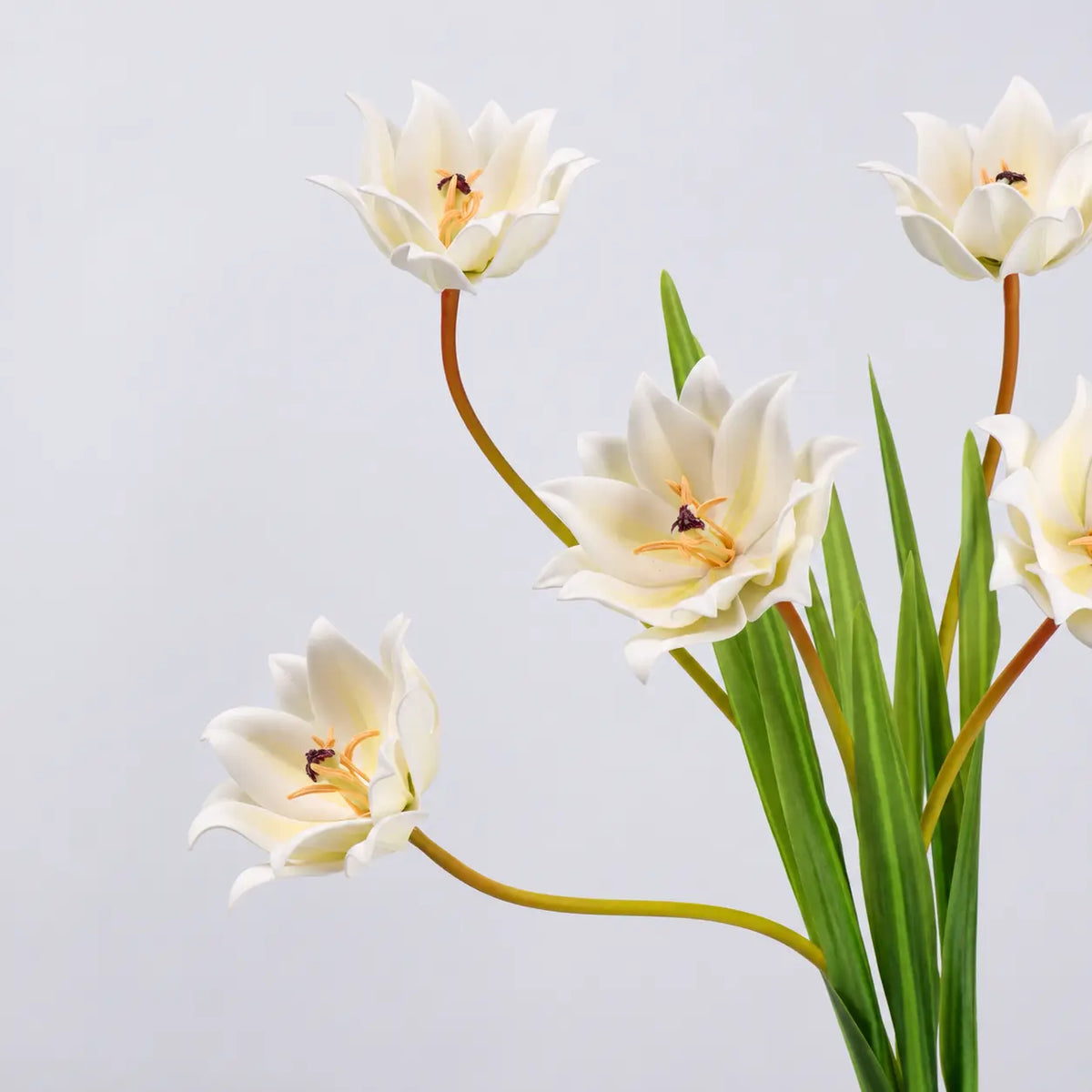 Multiple faux double tulip stems in white