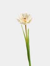 Faux double tulip stem 70 cm in white