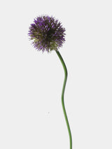 Faux allium stem in dark purple