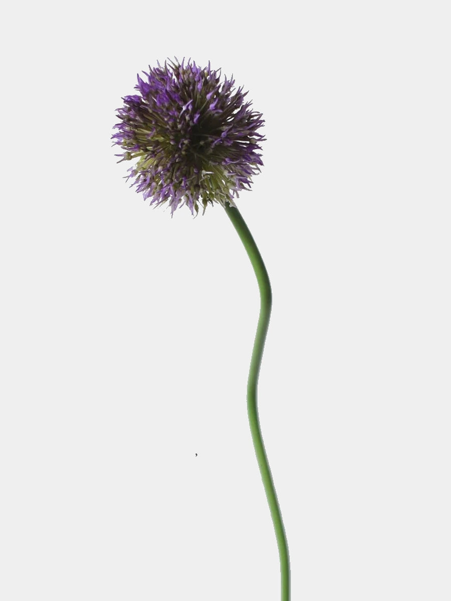 Faux allium stem in dark purple